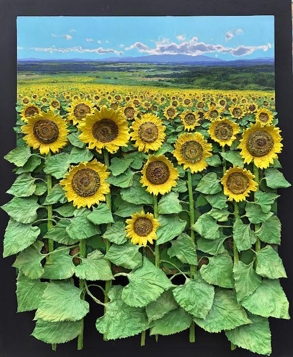 SUNFLOWERS DREAM