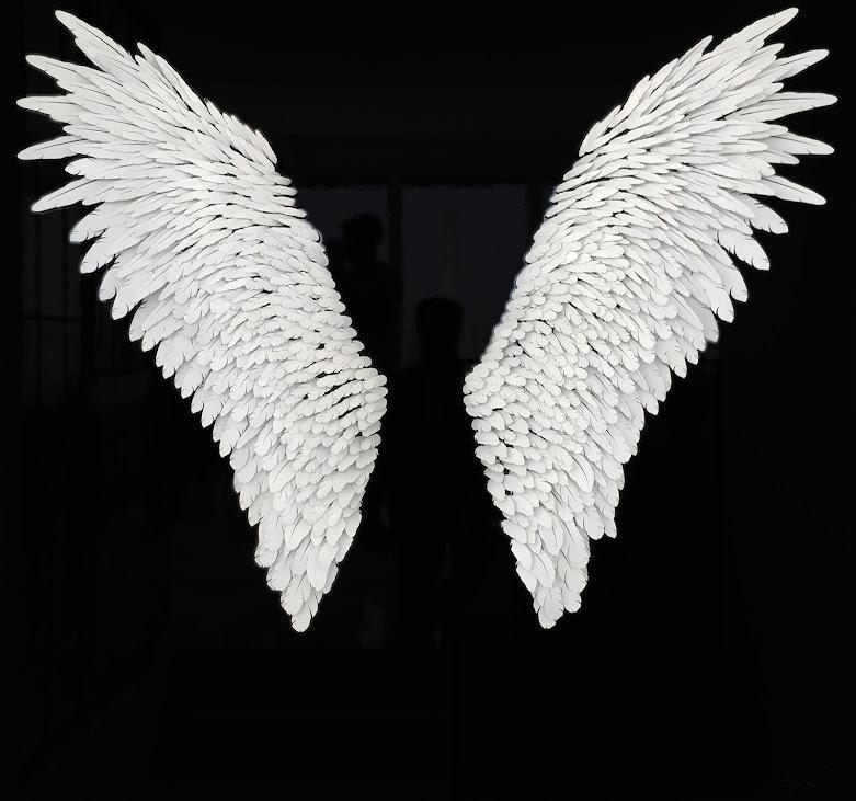 ANGEL WINGS